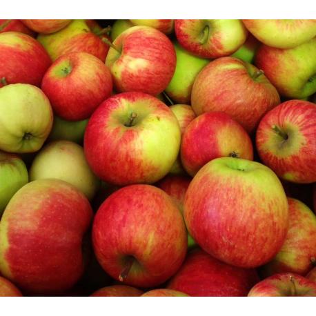 Pommes Jonagold Pommes Jonagold