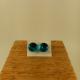 Boucles d'oreilles "puces"