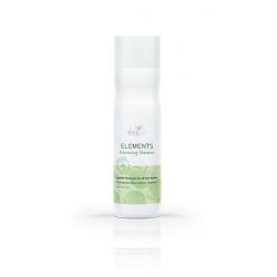 Shampooing Elements 250ml