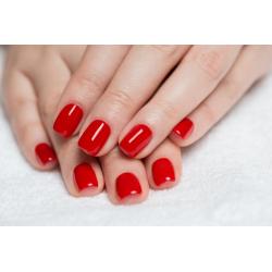 Soin de l'Ongle & Vernis Green Lak