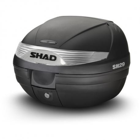 shad 29