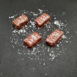Barres chocolatées à la noix de coco