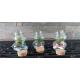 Terrarium "mini-ourson"