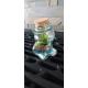 Terrarium "mini-ourson"