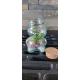Terrarium "mini-ourson"