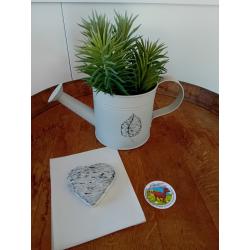 Le coeur cendré