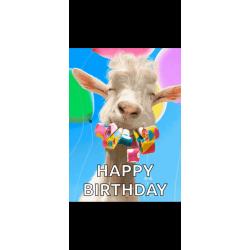 Anniversaire