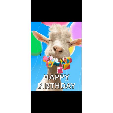 Anniversaire Anniversaire