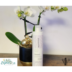 Shampooing "Silver" WUNDERBAR