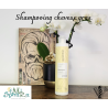Shampooing "cheveux gras" WUNDERBAR