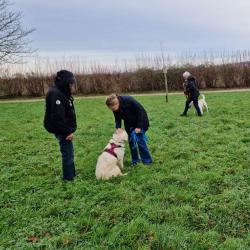Cours collectifs