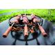 Horizontal Skewers Ring 100