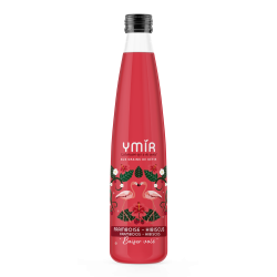 Kéfir de fruits Framboise Hibiscus - Pack 6x75cl