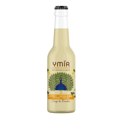 Kéfir de fruits Citron Gingembre - Pack 12x33cl