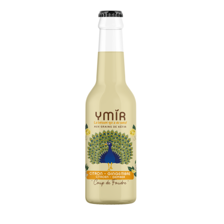 Kéfir de fruits Citron Gingembre - Pack 12x33cl