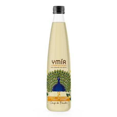 Kéfir de fruits Citron Gingembre - Pack 6x75cl
