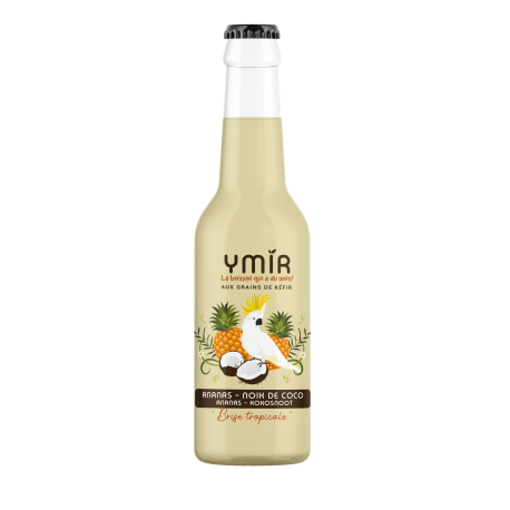 Kéfir de fruits Ananas Coco - Pack 12x33cl