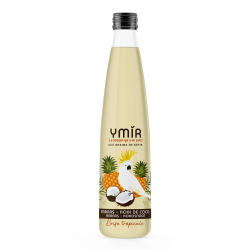 Kéfir de fruits Ananas Coco - Pack 6x75cl
