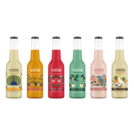 Kéfir de fruits "Découverte" - Pack 12x33cl