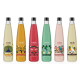 Kéfir de fruits "Découverte" - Pack 6x75cl