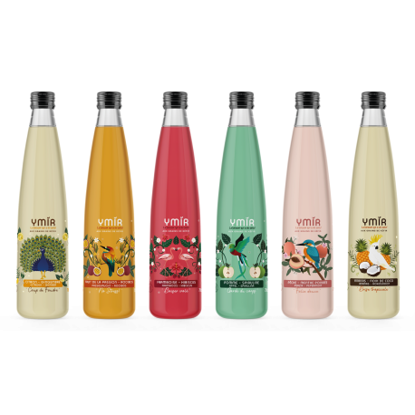 Kéfir de fruits "Découverte" - Pack 6x75cl