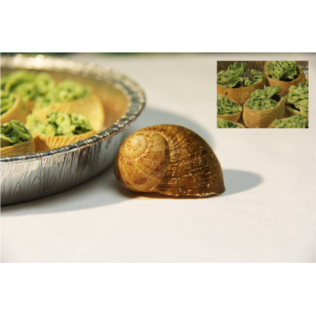 escargots en croquilles recette à la bourguignonne escargots en croquilles recette à la bourguignonne